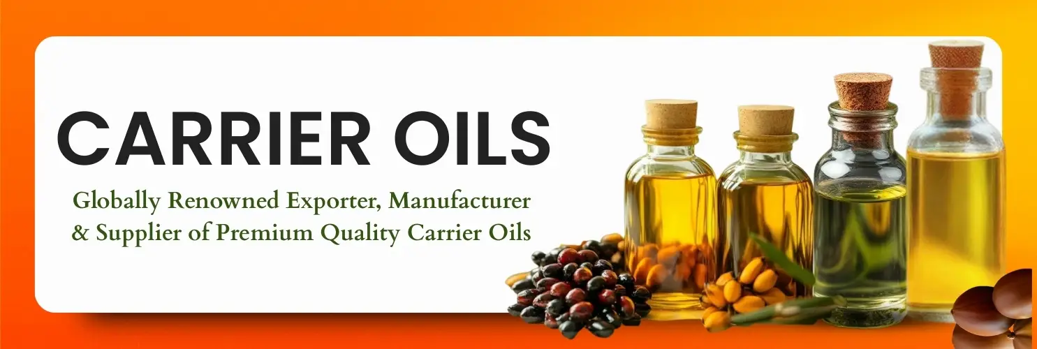 Carrier Oil