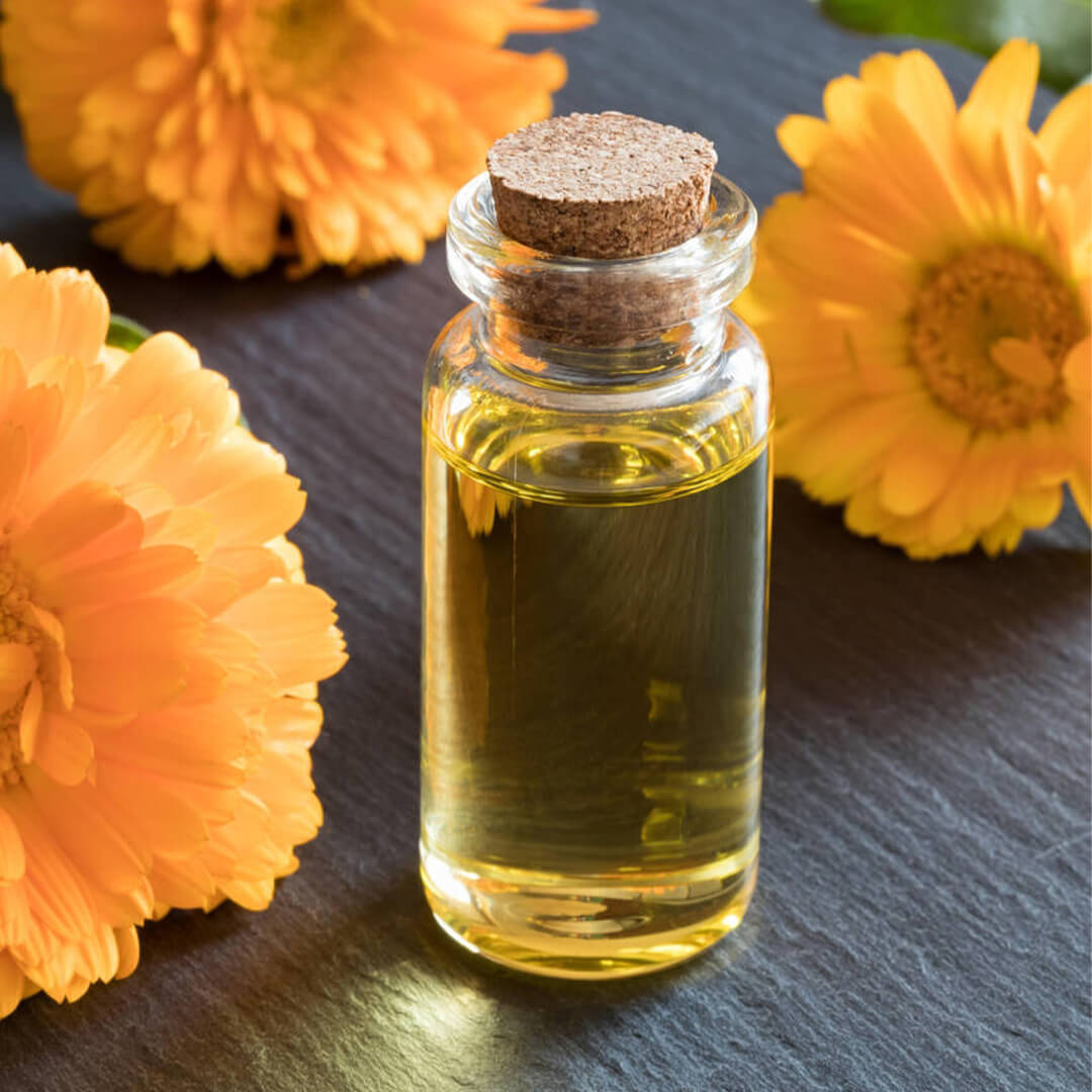 Here Are Some Technical Details About Calendula Oil
