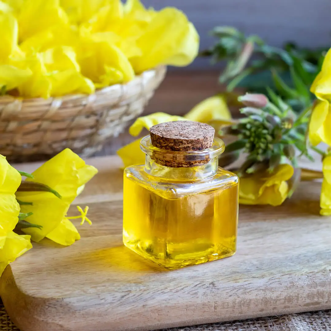 Here Are Some Technical Details About Evening Primrose Oil 