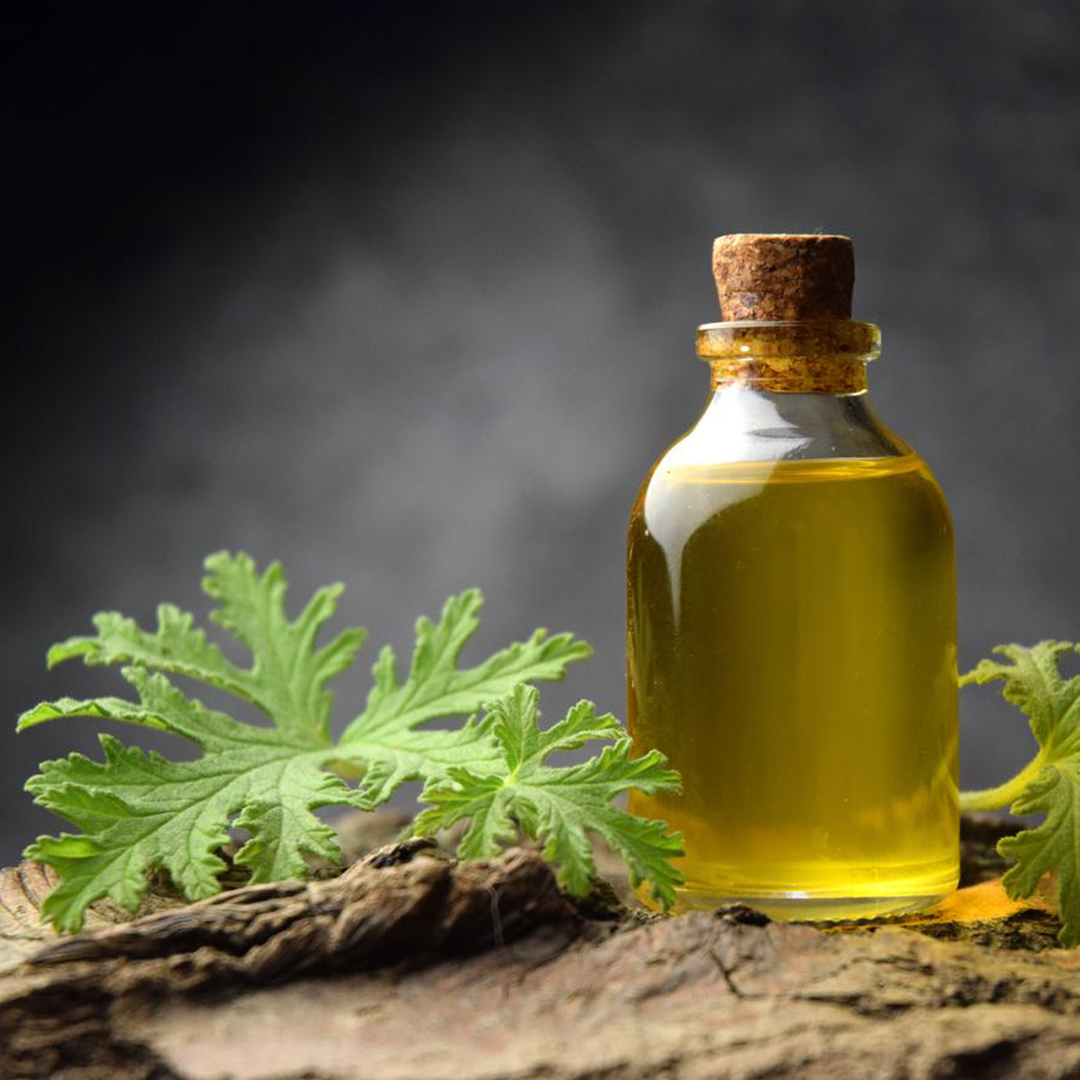 Here Are Some Technical Details About Citronella Oil
