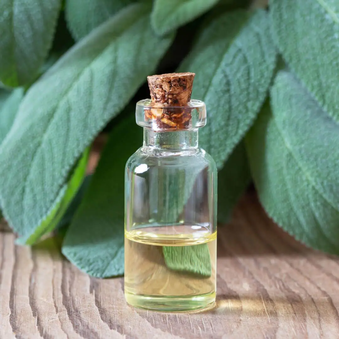 Here Are Some Technical Details About Sage Oil
