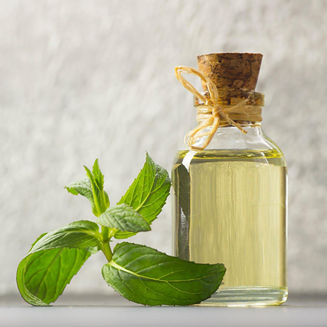 Here Are Some Technical Details About Spearmint Oil
