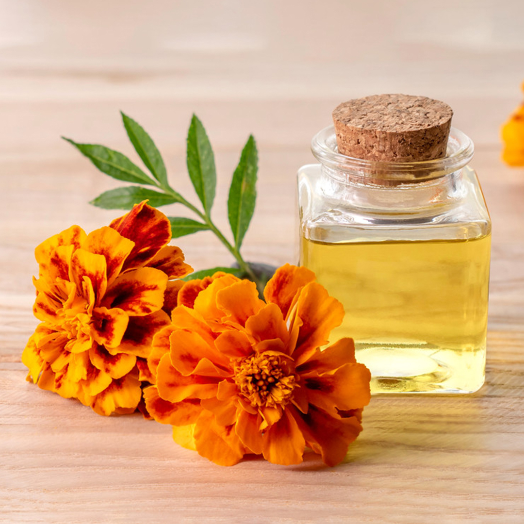 Here Are Some Technical Details About Tagetes Oil
