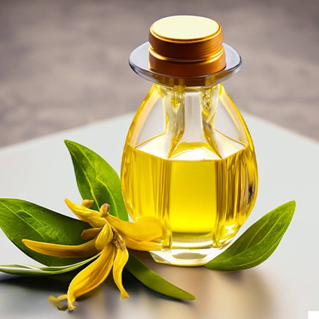 Here Are Some Technical Details About Ylang Ylang Oil
