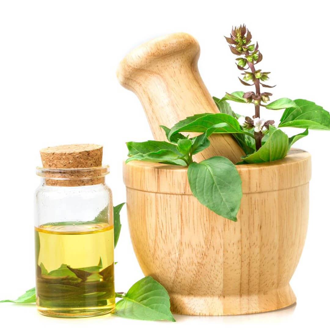 Here Are Some Technical Details About Sweet Basil Oil