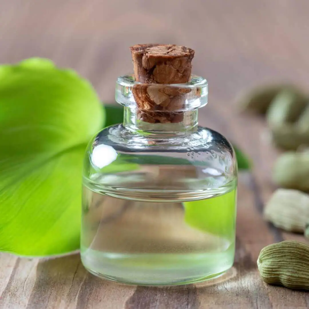 Here Are Some Technical Details About Cardamom Hydrosol