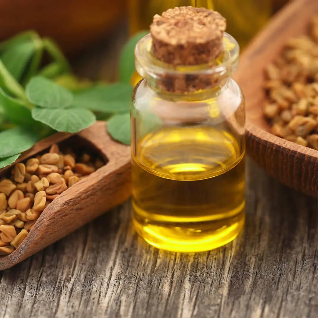 Here Are Some Technical Details About Fenugreek Hydrosol