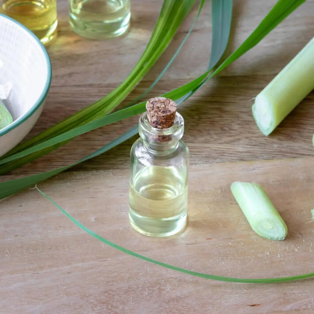 Here Are Some Technical Details About Lemongrass Hydrosol