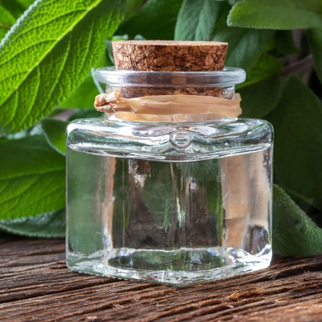 Here Are Some Technical Details About Sage Hydrosol