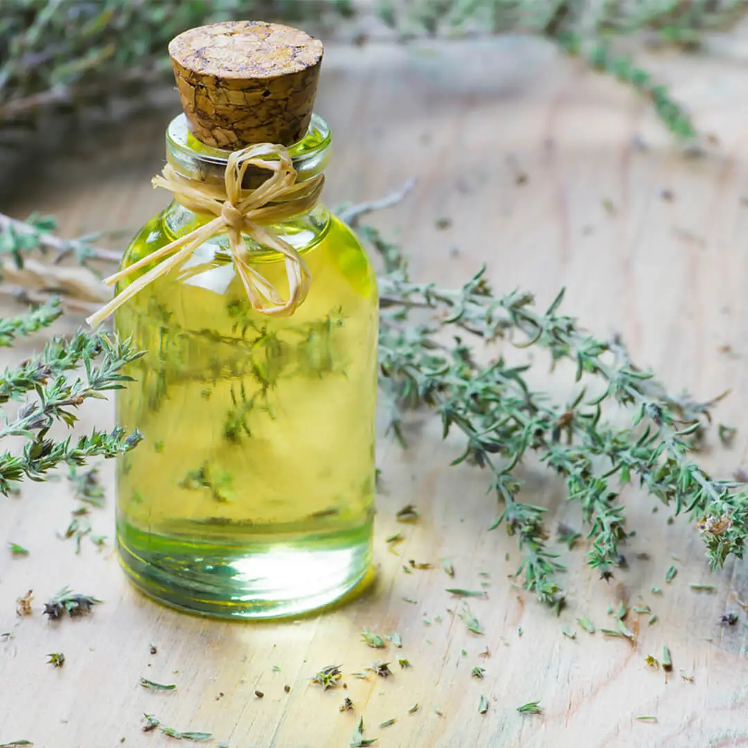 Here Are Some Technical Details About Thyme Hydrosol