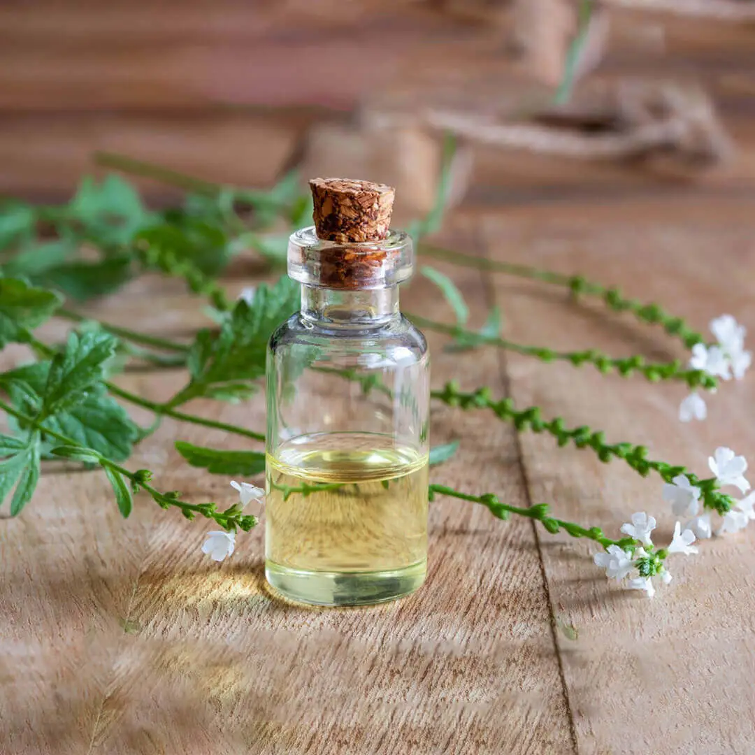 Here Are Some Technical Details About Verbena Hydrosol