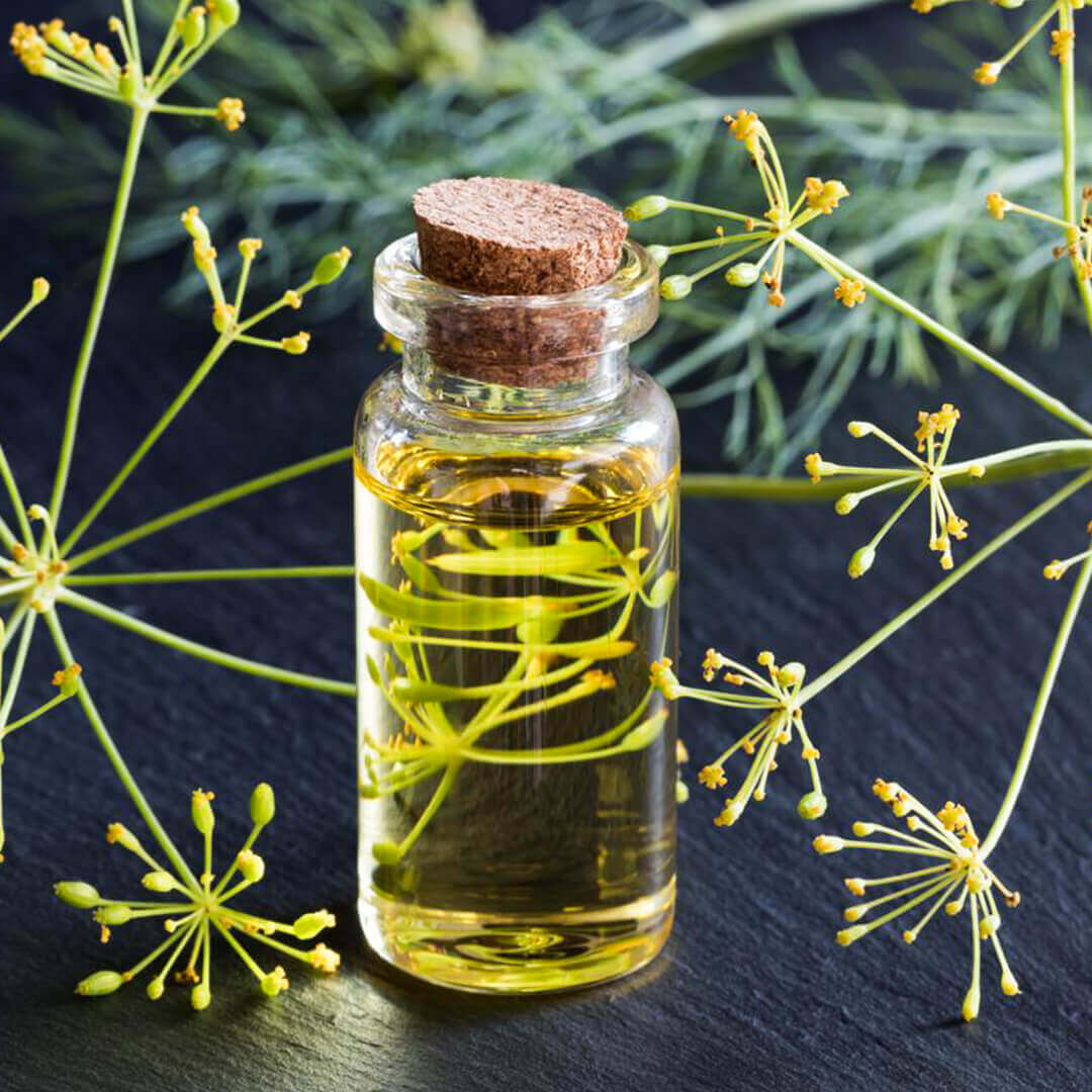 Here Are Some Technical Details About Dill Oil BP