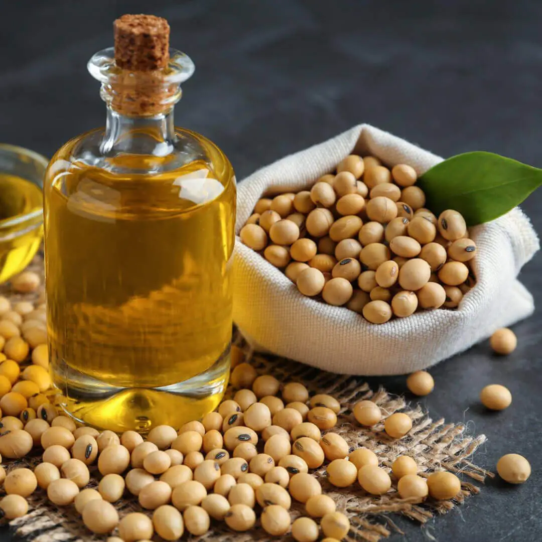 Here Are Some Technical Details About Soyabean Oil BP