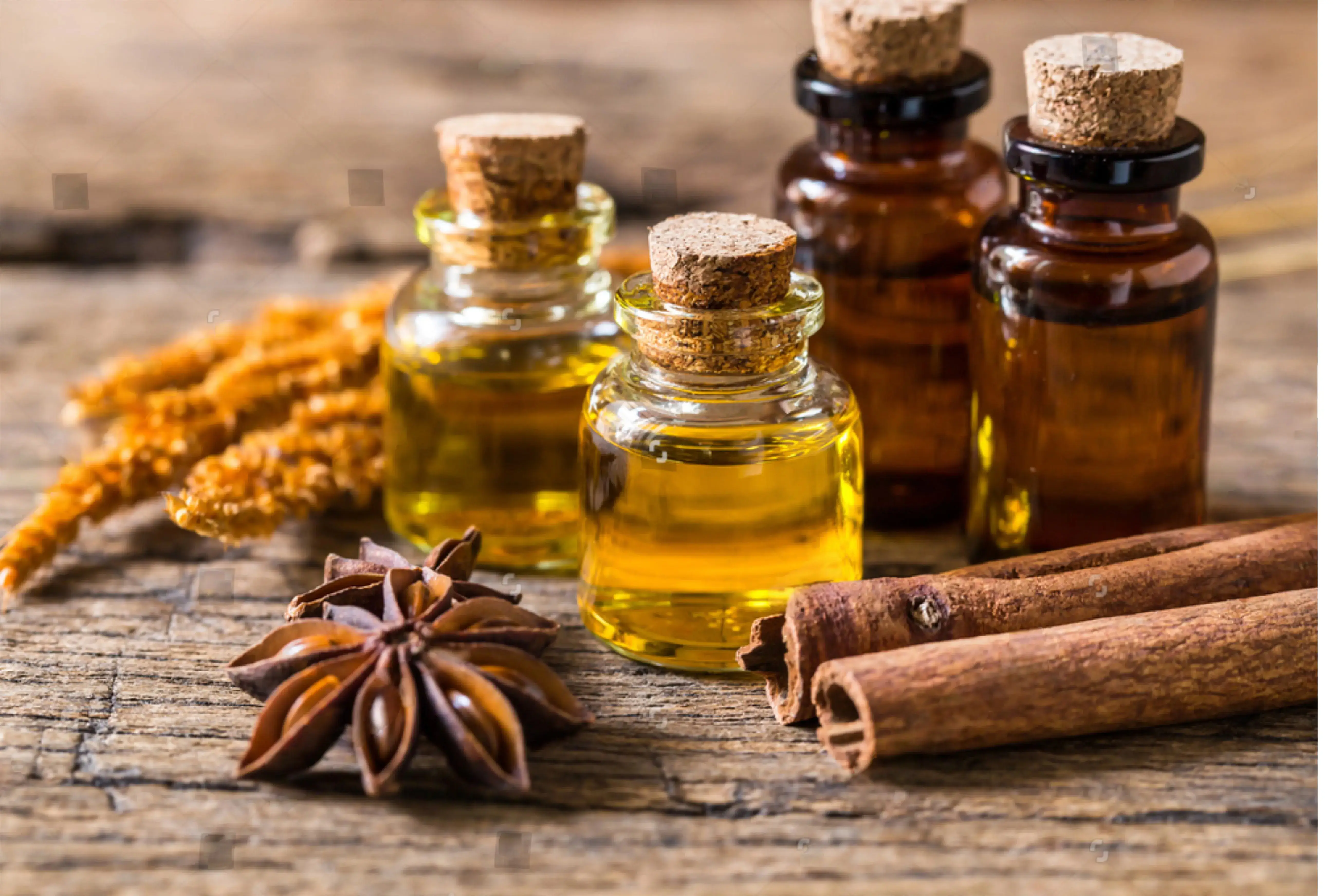 Essential Oil Bulk