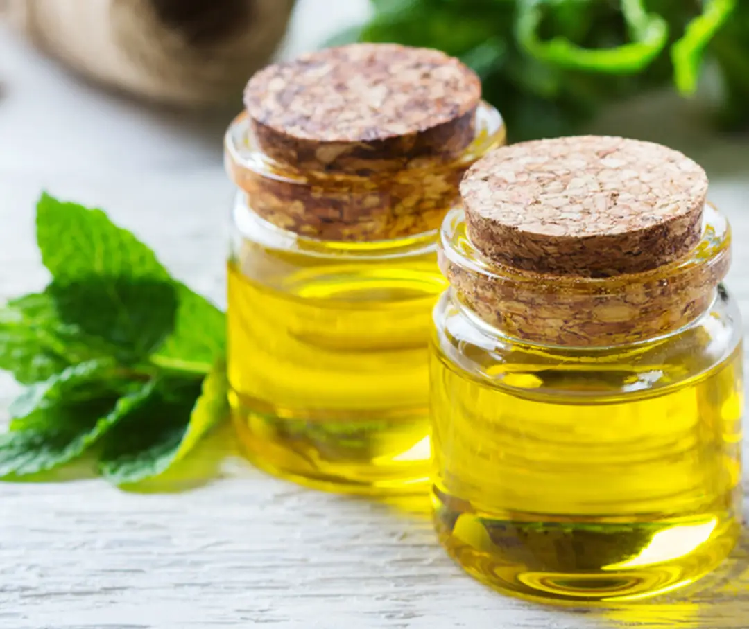 Peppermint Oil Supplier