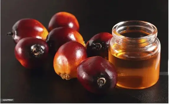 Batana Oil Bulk Suppliers