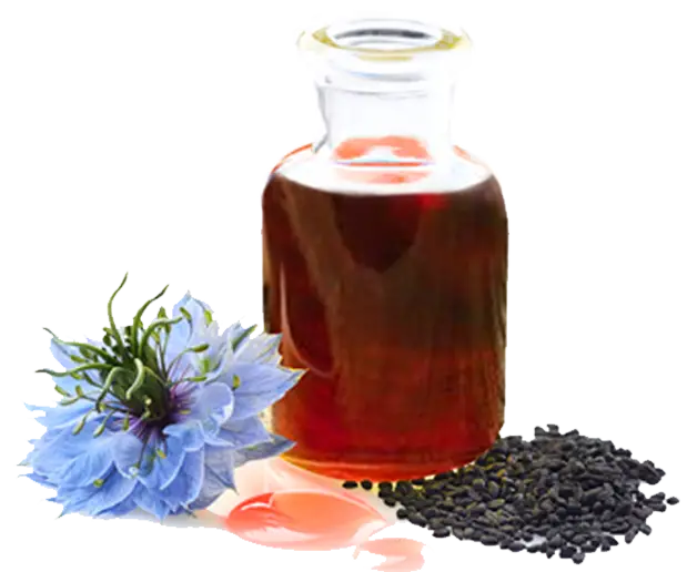 Black Seed Oil Bulk