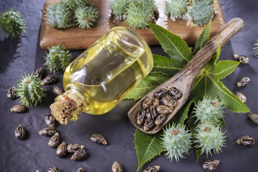 Castor Oil Suppliers