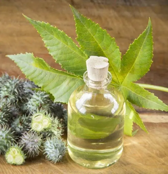 Caster Oil Wholesale