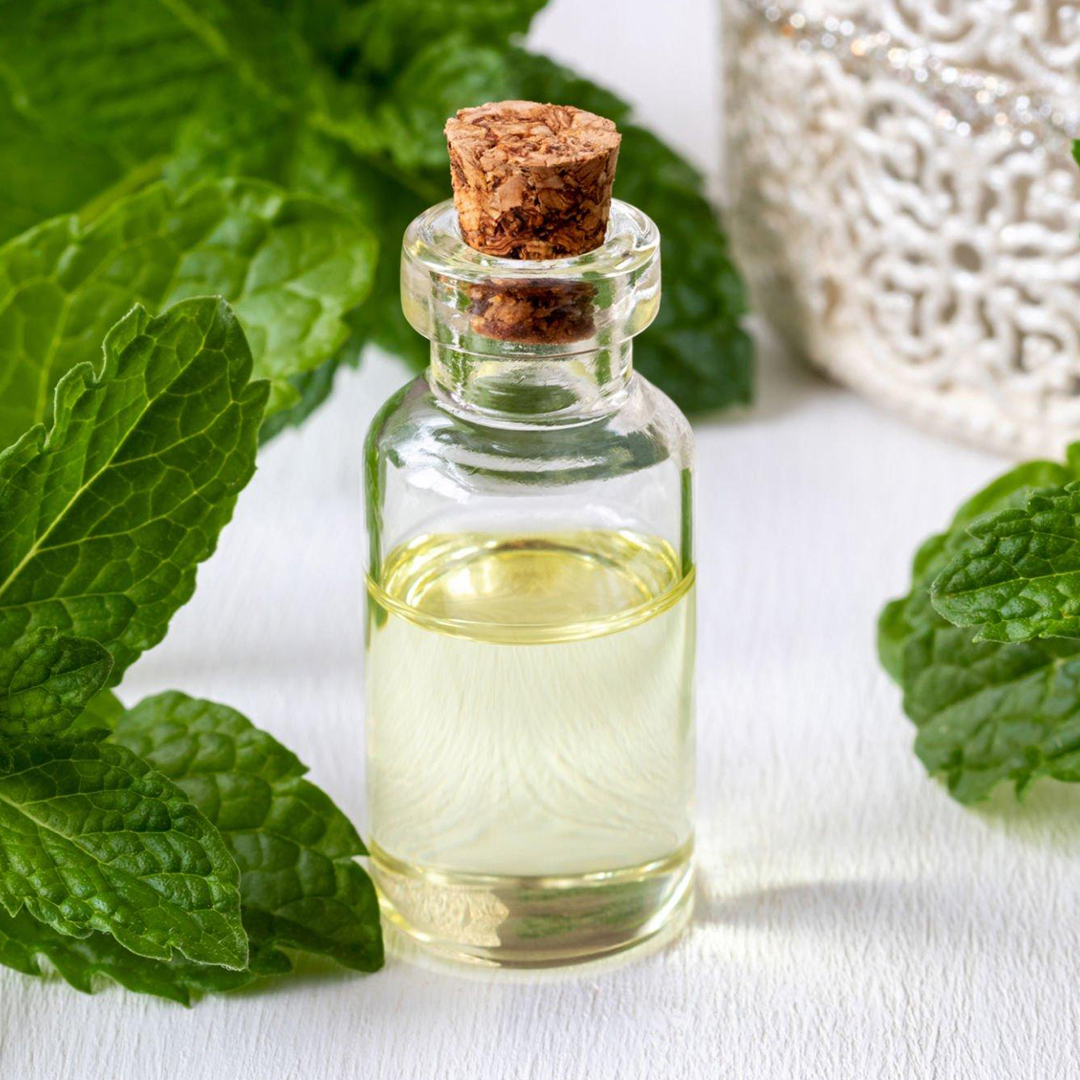 Here Are Some Technical Details About Mentha Piperita Oil