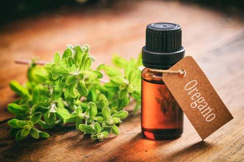 OREGANO OIL Manufacturers and Suppliers in Florida