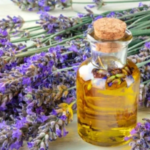 Lavender Oil Wholesale Suppliers