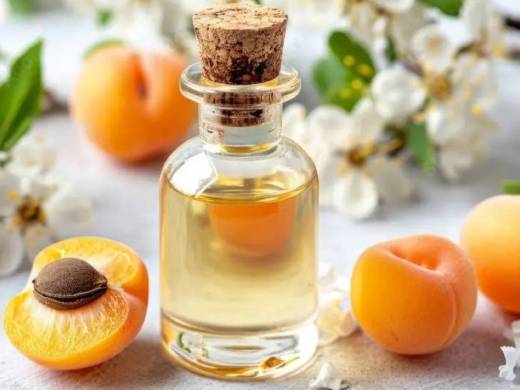 Apricot Oil Manufacturer
