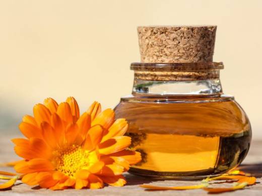 Calendula Oil Distributors