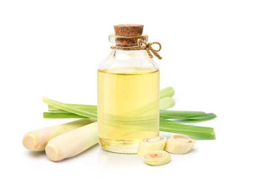 lemongrass oil supplier